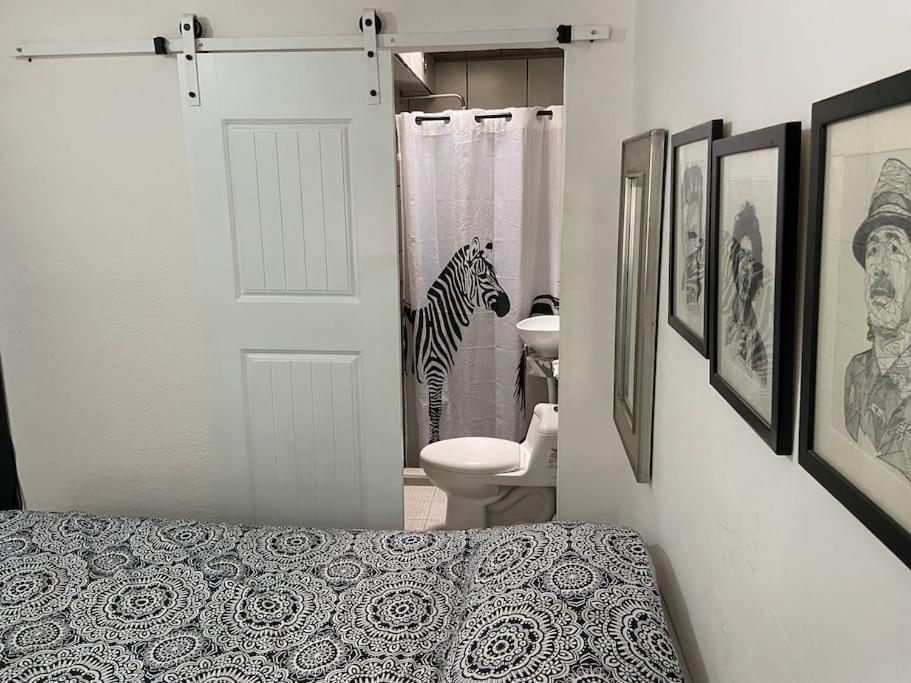 Zebra Studio Tijuana Ngoại thất bức ảnh