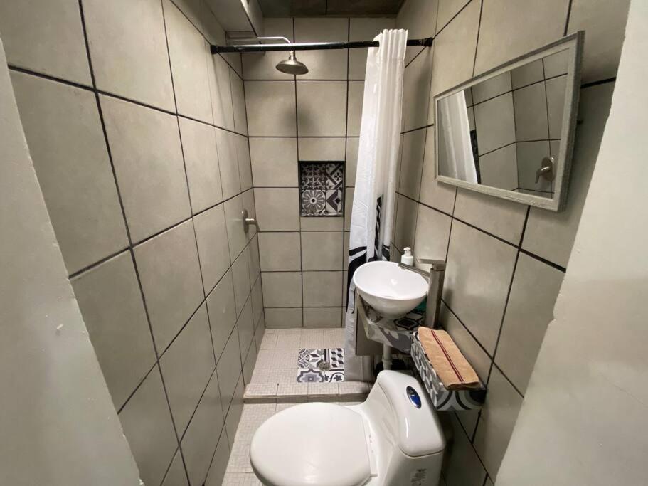 Zebra Studio Tijuana Ngoại thất bức ảnh