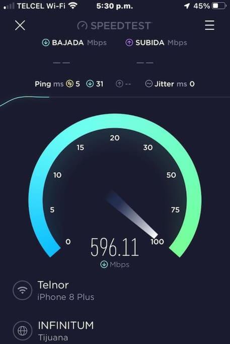 Zebra Studio Tijuana Ngoại thất bức ảnh