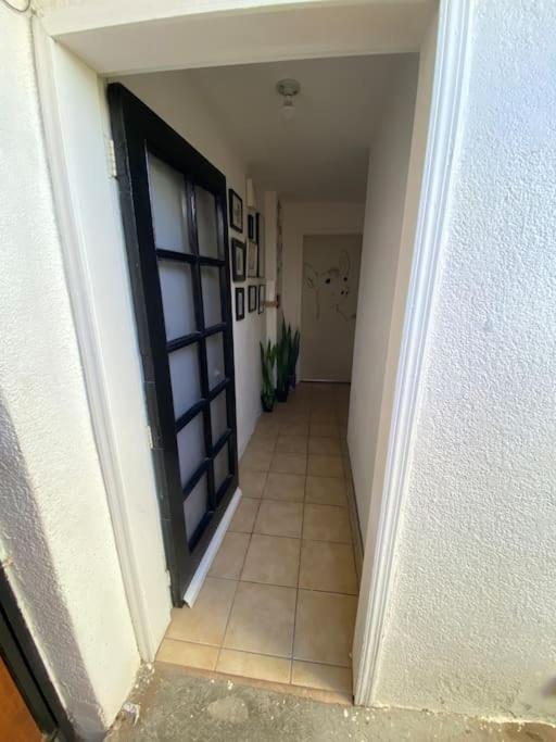 Zebra Studio Tijuana Ngoại thất bức ảnh